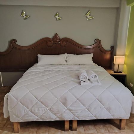 Cabo Tortuga Hotel Boutique Кабо-Сан-Лукас Экстерьер фото